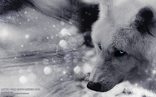 469323 (a): :1920x1200